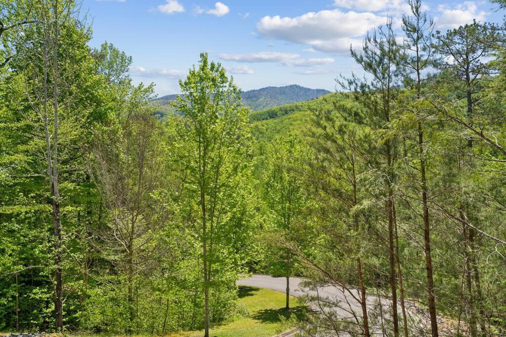 Villa Baby Bear Den à Gatlinburg Extérieur photo